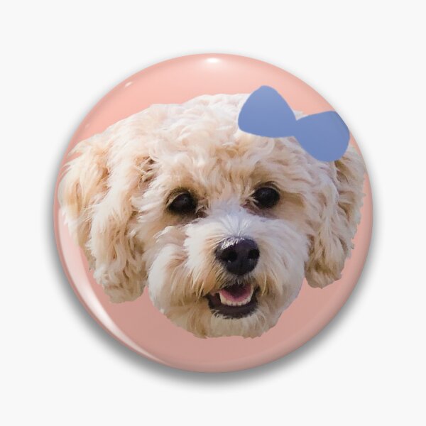 Aperçu de l'œuvre Honey Boo le Cavapoo créée et vendue par HoneyBooDesigns.