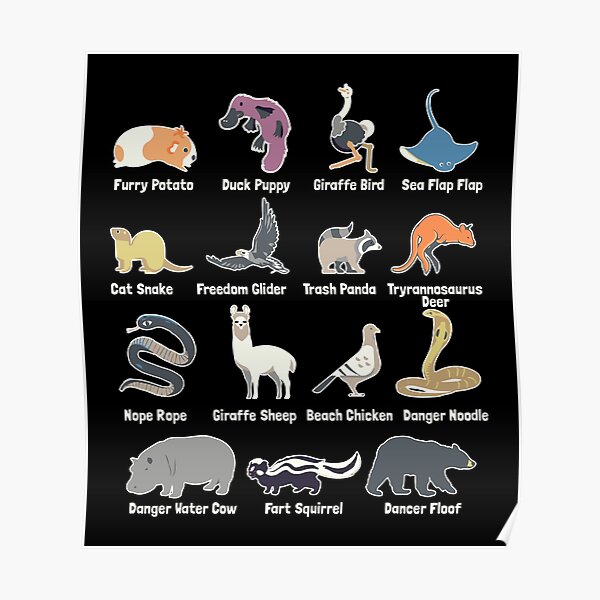Animals Of The World - Rare Exotic Animals Funny Memes Gift Animals Of The World - Rare Exotic Animals Funny Memes Gift