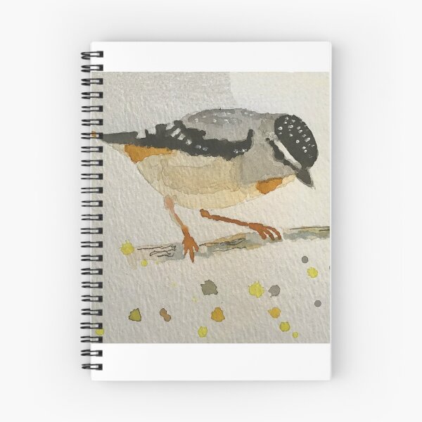 Aperçu de l'œuvre Pardalote tacheté créée et vendue par LesleyLa.