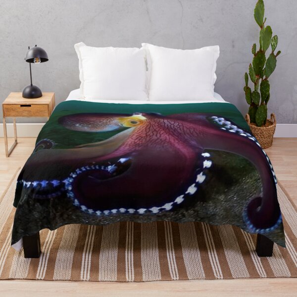 Item preview, Stunning Coconut Octopus designed and sold by Maddie4Real.