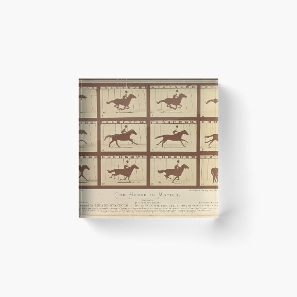 Eadweard Muybridge's The Horse in Motion Acrylic Block