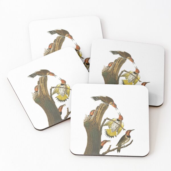 Item preview,  Northern Flicker by John James Audubon designed and sold by TheCurators.