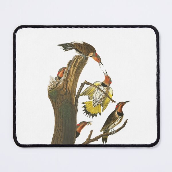 Item preview,  Northern Flicker by John James Audubon designed and sold by TheCurators.