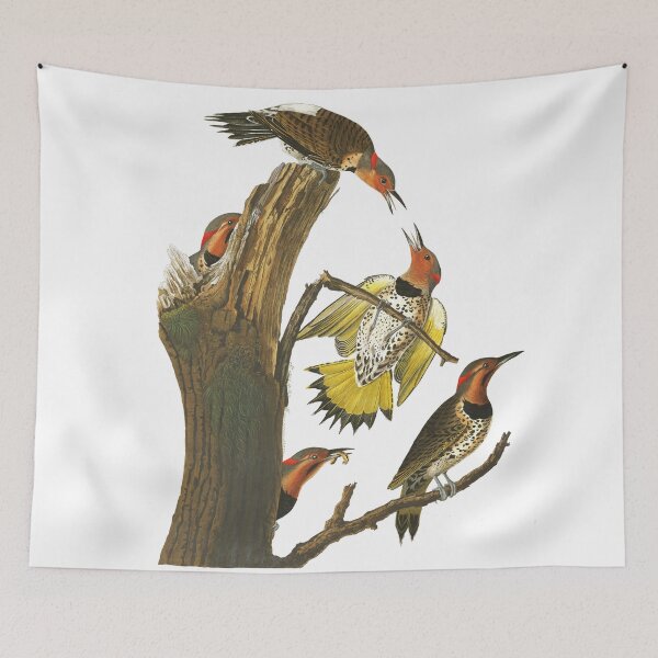 Item preview,  Northern Flicker by John James Audubon designed and sold by TheCurators.