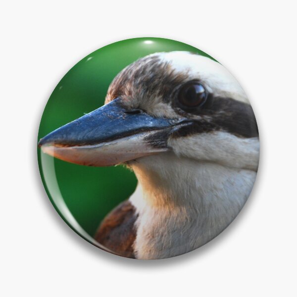 Item preview, Australian Kookaburra Photography designed and sold by Digitaldingo.