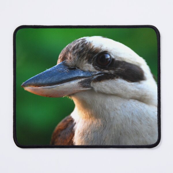 Item preview, Australian Kookaburra Photography designed and sold by Digitaldingo.