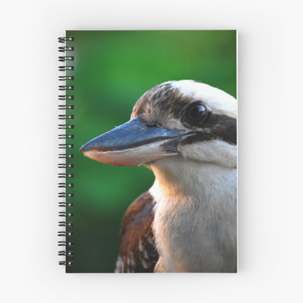 Item preview, Australian Kookaburra Photography designed and sold by Digitaldingo.