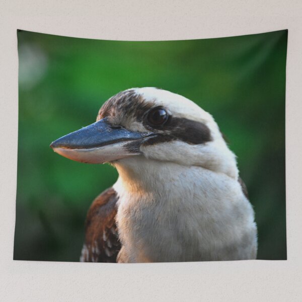 Item preview, Australian Kookaburra Photography designed and sold by Digitaldingo.