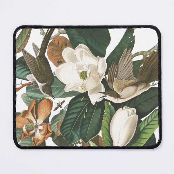 Item preview, Black-billed Cuckoos by John James Audubon designed and sold by TheCurators.