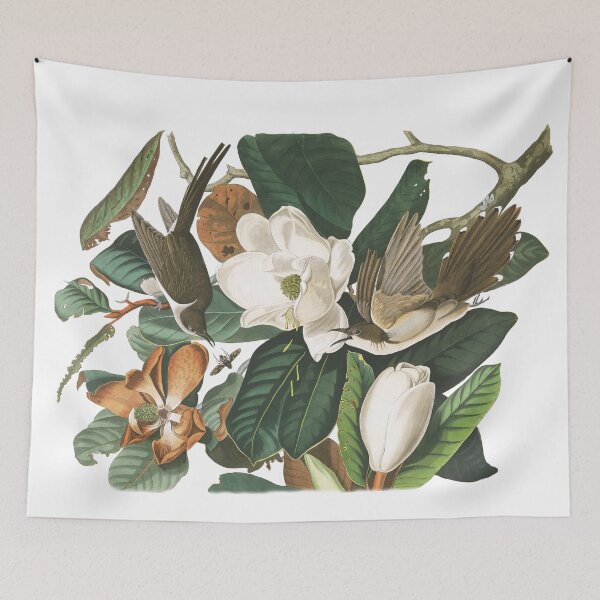 Item preview, Black-billed Cuckoos by John James Audubon designed and sold by TheCurators.