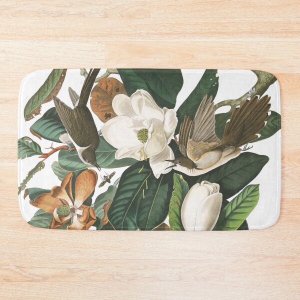 Item preview, Black-billed Cuckoos by John James Audubon designed and sold by TheCurators.