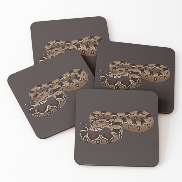 Item preview, Boa Constrictor Imperator - BCI - Common Boa or Black-tailed Boa designed and sold by anacecilia.