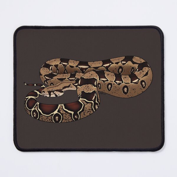 Item preview, Boa Constrictor Imperator - BCI - Common Boa or Black-tailed Boa designed and sold by anacecilia.