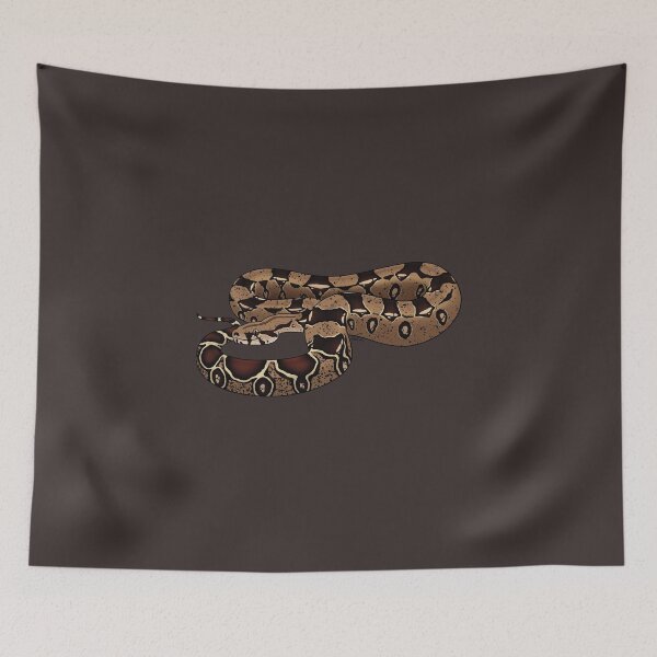 Item preview, Boa Constrictor Imperator - BCI - Common Boa or Black-tailed Boa designed and sold by anacecilia.