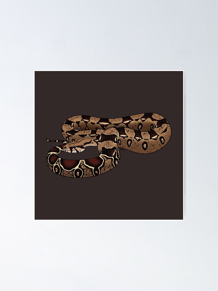 Boa Constrictor Black & White Art Board Print for Sale by porpoisefully