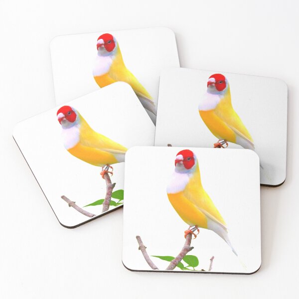Item preview, Chubby Gouldian Finch Bird  designed and sold by SansNetShop.