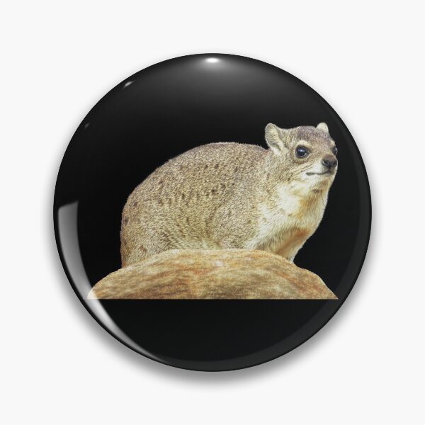 Item preview, Rock hyrax - desert hyrax - rock badger in Kenya / Africa designed and sold by TShirtsundMehr.