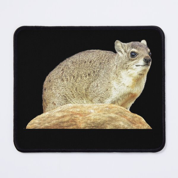 Item preview, Rock hyrax - desert hyrax - rock badger in Kenya / Africa designed and sold by TShirtsundMehr.