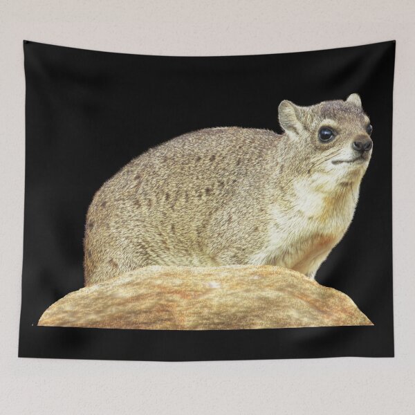 Item preview, Rock hyrax - desert hyrax - rock badger in Kenya / Africa designed and sold by TShirtsundMehr.