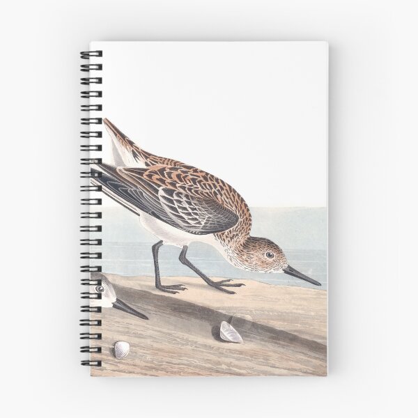 Item preview, Sanderling - John James Audubon designed and sold by billythekidtees.