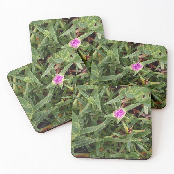 Item preview, Eco green designed and sold by Weather gifts .