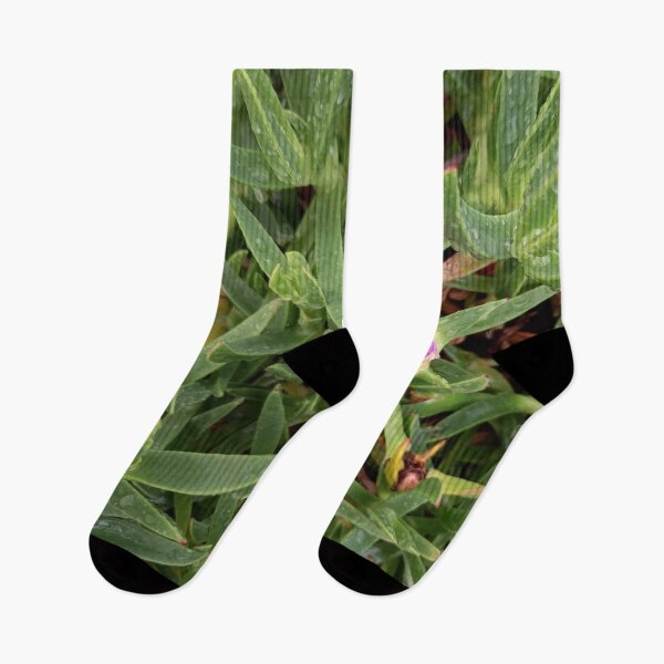 Item preview, Eco green  designed and sold by Weather gifts .