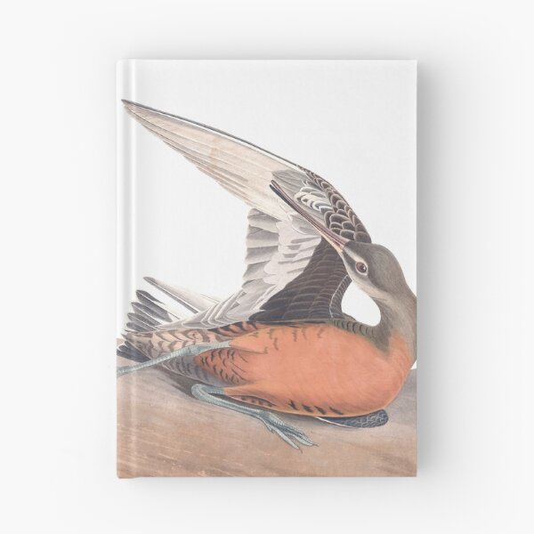 Item preview, Hudsonian Godwit - John James Audubon designed and sold by billythekidtees.