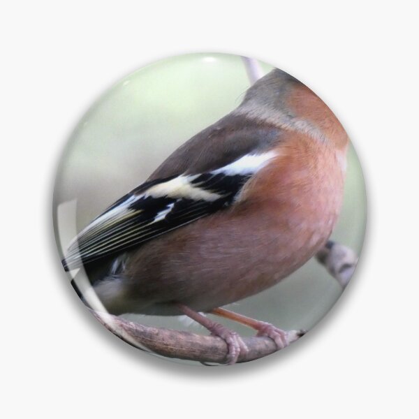 Item preview, chaffinch designed and sold by KathleenDawson.