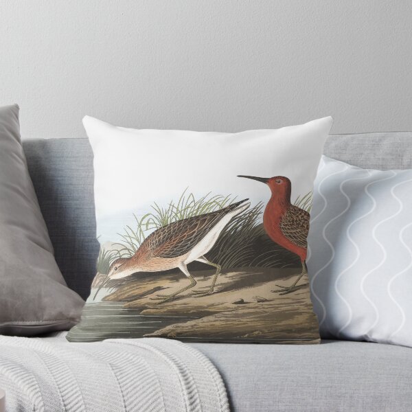 Item preview,  Curlew Sandpiper - John James Audubon designed and sold by billythekidtees.