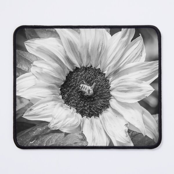 Item preview, Busy Bee 4 in Black and White designed and sold by Peter Hocking.