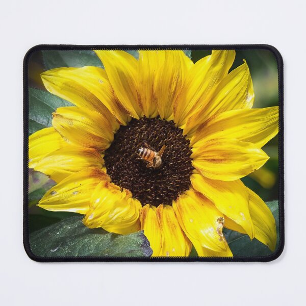 Item preview, Busy Bee 4 designed and sold by Peter Hocking.