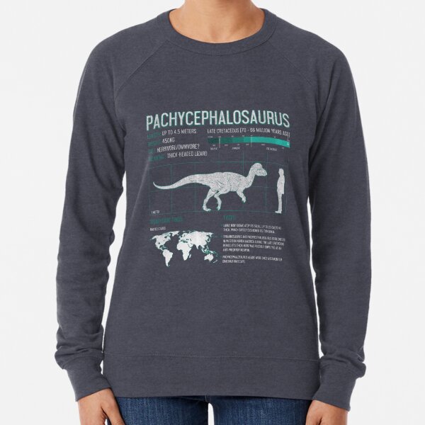 Women Dinosaur Classic Drawstring Sweatshirt 