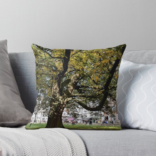 Item preview, Cathedral Square ~ Exeter designed and sold by Dorset Girl.