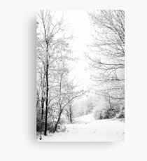 Winter wonderland black and white photography Canvas Print