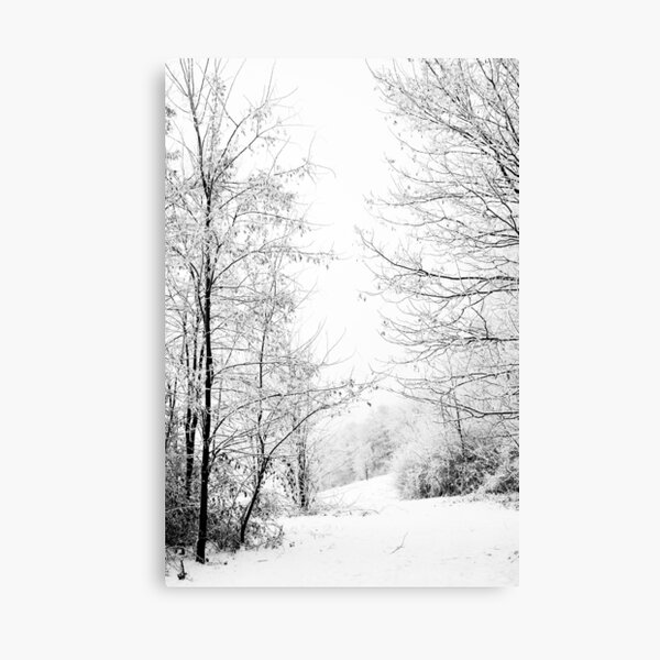 Winter wonderland black and white photography Canvas Print