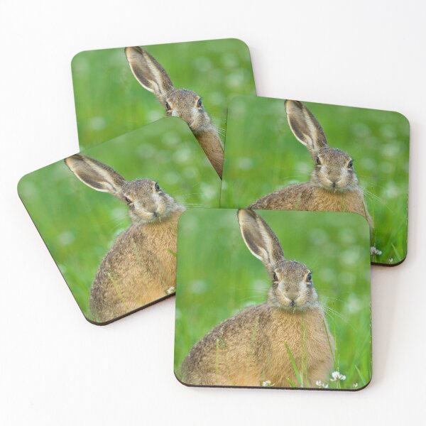 Item preview, The one-eared Easter bunny designed and sold by Ingo Gerlach.