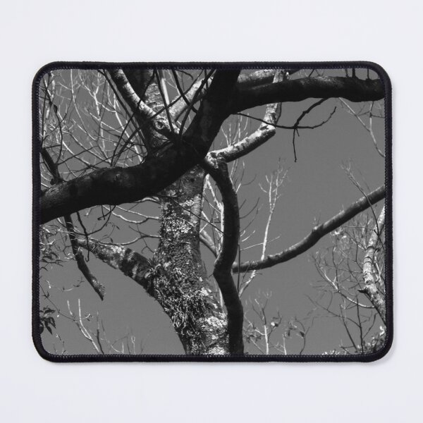 Item preview, front and back. designed and sold by Nino rocha fotografia.