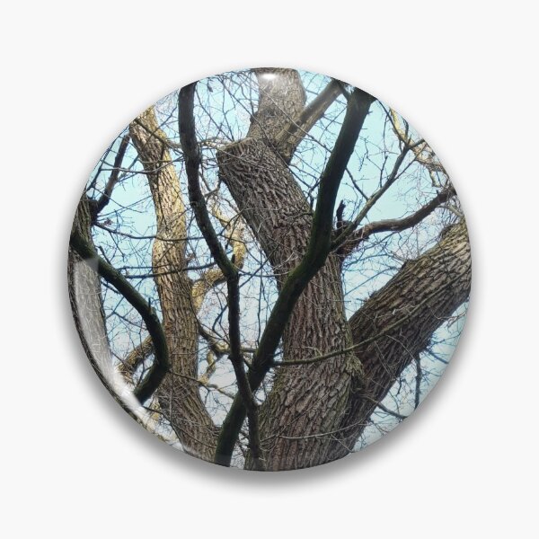 Item preview, Old Tree designed and sold by amanda150771.