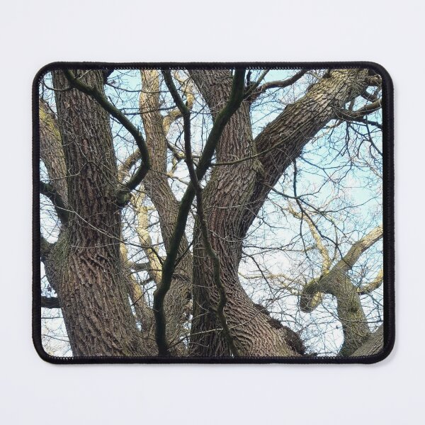 Item preview, Old Tree designed and sold by amanda150771.