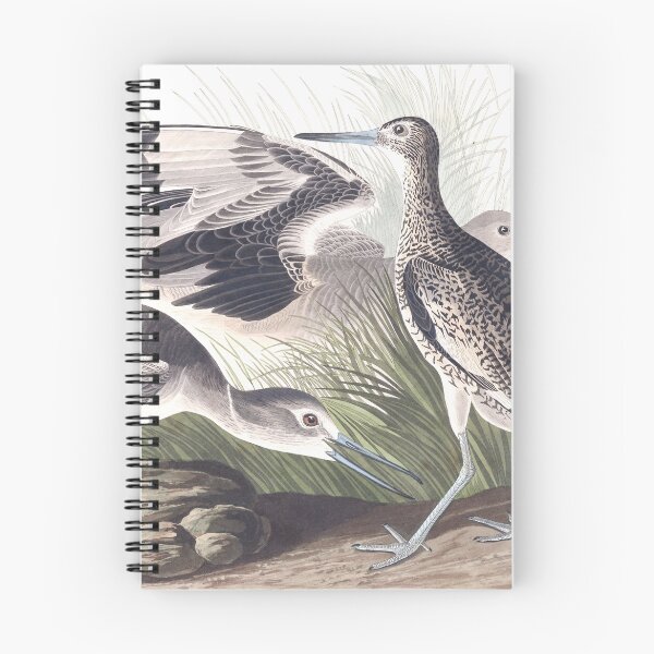 Item preview, Willet - John James Audubon designed and sold by billythekidtees.