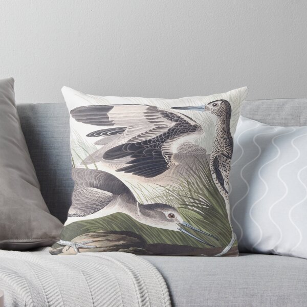Item preview, Willet - John James Audubon designed and sold by billythekidtees.