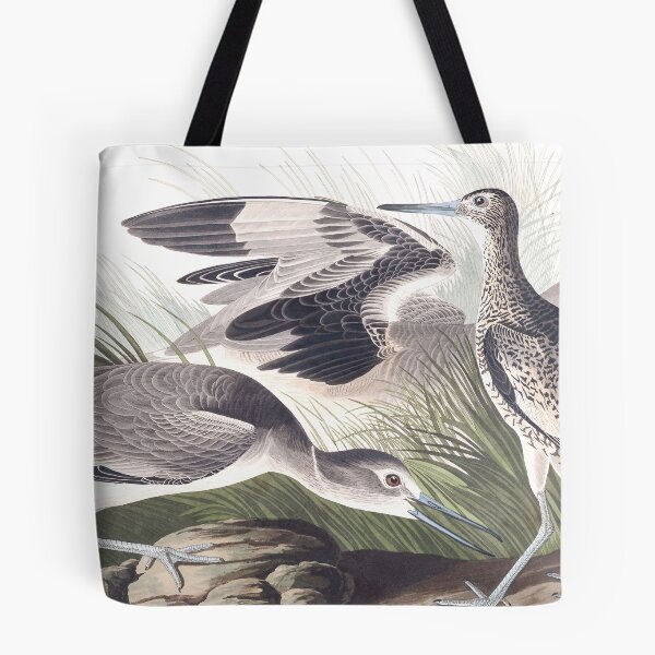 Item preview, Willet - John James Audubon designed and sold by billythekidtees.
