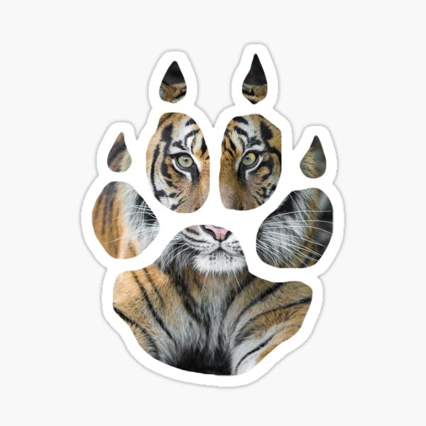 Sumatran Tiger Sticker
