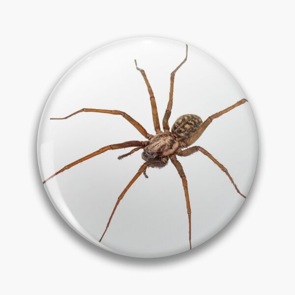 Item preview, literally just a spider designed and sold by elisabethkatee.