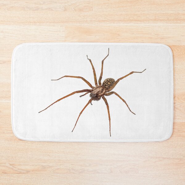 Item preview, literally just a spider designed and sold by elisabethkatee.
