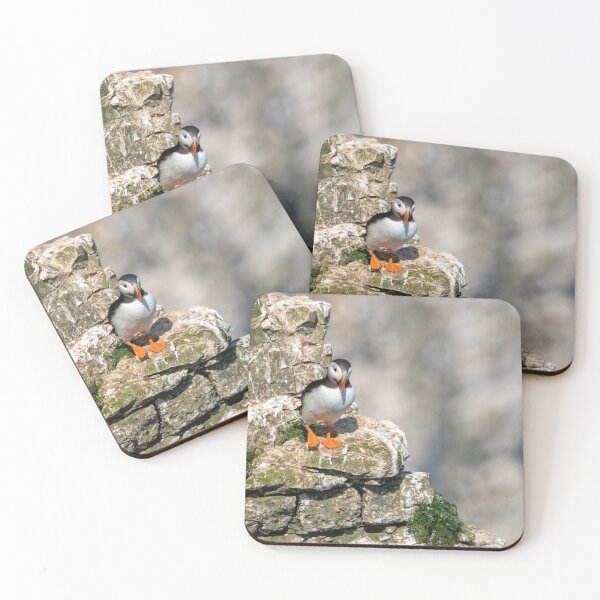Item preview, Puffin on the cliff designed and sold by cdkphotos.