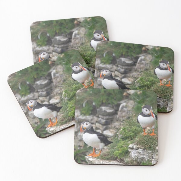 Item preview, A pair of puffins designed and sold by cdkphotos.