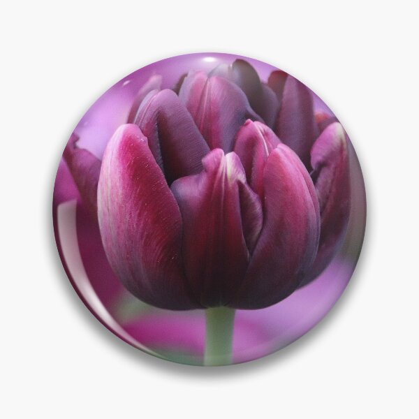 Item preview, Black Hero Tulip designed and sold by LeanneAllen.