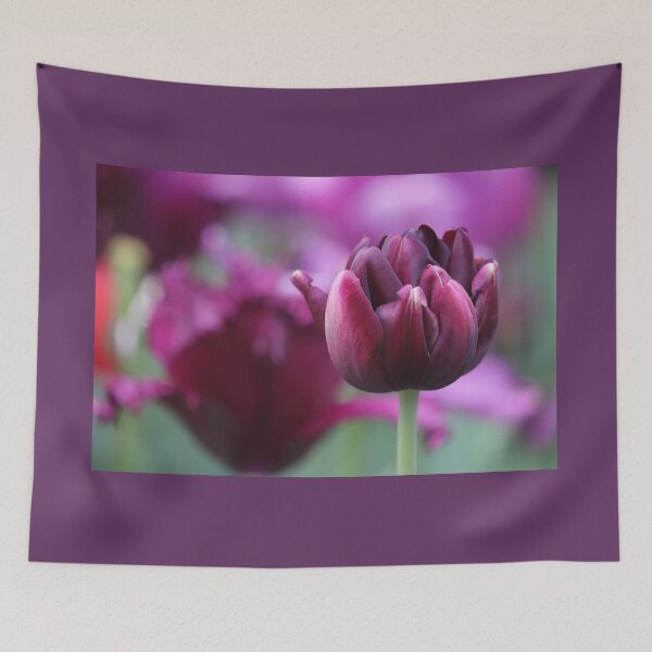Item preview, Black Hero Tulip designed and sold by LeanneAllen.