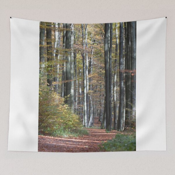 Item preview, Autumn forest designed and sold by Ingo Gerlach.